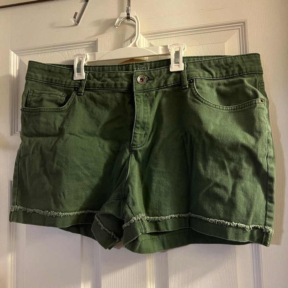 Time and Tru Green Shorts Size 18